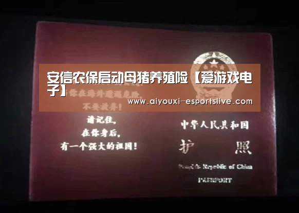 爱游戏棋牌游戏