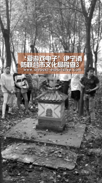 爱游戏电子