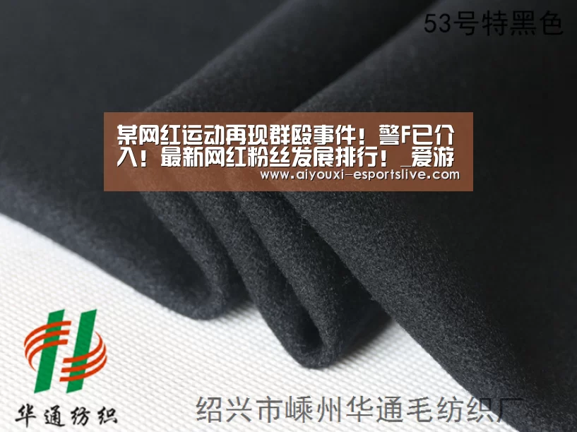 某网红运动再现群殴事件!警F已介入!最新网红粉丝发展排行!_爱游戏百家乐(图3) 爱游戏电子