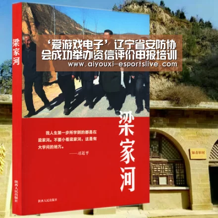 ‘爱游戏电子’辽宁省安防协会成功举办资信评价申报培训班