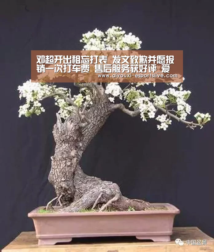 爱游戏棋牌游戏