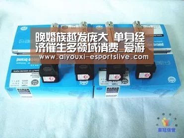 晚婚族越发庞大 单身经济催生多领域消费_爱游戏电子(图1) 爱游戏百家乐