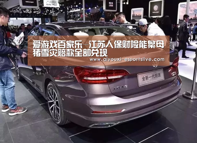 爱游戏电子